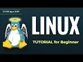 Beginner s Guide to the Bash Terminal linux or mac YouTube