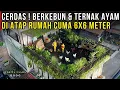 Download Lagu UBAH LAHAN SEMPIT DENGAN BERKEBUN DAN TERNAK AYAM DI ATAS ATAP RUMAH HIDUP JADI HEMAT | CERITA USAHA MP3
