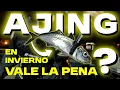 Download Lagu La REALIDAD del AJING invernal ??