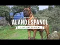 DOGUMENTARY TV INTERVIEW ALANO ESPANOL