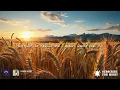 STELLA LEFTY - I Know I Know (Lyrics)