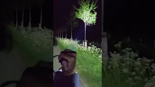                     دندنها