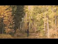 Tips for snapping photos of the fall colors in Colorado