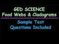 Food Webs Cladograms for GED Science Practice Test Questions