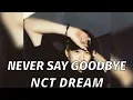 Download Lagu Nct Dream - Never Goodbye (Slowed+reverb) unofficial audio
