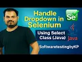 Dropdown Handling in Selenium using Select Class Selenium Java Tutorial for Beginners