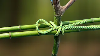 The World’s Most Dangerous Knot? I Found a Solution!