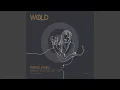 Download Lagu Rays of Gold