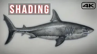Tattoo Tutorial - How to Tattoo for Beginners
