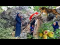 Download Lagu Young woman returns disabled boy to his family + nomads⛰️🙏