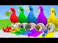 Download Lagu 02 Giant Duck Cartoons, Cow, Giraffe, Elephant, Lions Paint Wild Animals Crossing  Animal pat.216