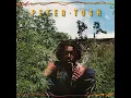 Peter Tosh - Legalize It (Original Jamaican Mix)