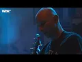 Bad Religion live | Rockpalast | 2008