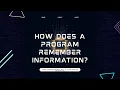 What is a Variable in Programming Explained with a Real-Life Example Python