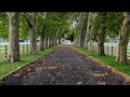 Road Chronicles Rainy Day Horse Farm - Upper Freehold Township NJ