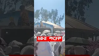 ስውሯ ማርያም ላላስምረው ደጄን አላስረግጠውም እናታችን እመቤታችን በምልጃዋ ትጠብቀን ማርያም Jesus Habesha Shortvideo Love Fyp 