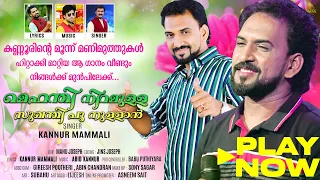 mehandi niramulla kannur mammali shaadi mubaarak malabar cafe 