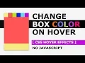 Change Box Color On Hover - CSS Hover Effects Tutorial