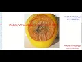 Apple Fruit Disease Detection Using Image Processing Python Project With Source Code