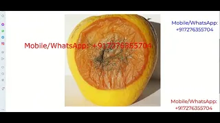 Apple Fruit Disease Detection Using Image Processing Python Project With Source Code