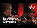 Download Lagu Beethoven: Cavatina from String Quartet No.13
