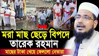ম/রা মাছ ছেড়ে বিপদে তারেক রহমান ! মাছের টাকা মেরে খেলো নেতারা ! Mawlana Abdus Salam Juktibadi