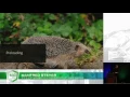 Step by Step Improving Startup Performance with Lazy Loading in Angular - Manfred Steyer