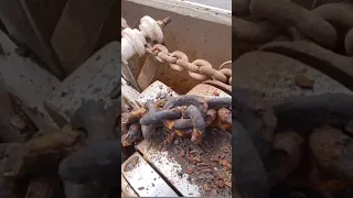 My chain is corroded stiff #sailinglifestyle #windedvoyage #sailing  #sailboat