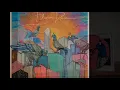 Theme 002 ~ Jaimie Branch   Fly or Die 2017 International Anthem