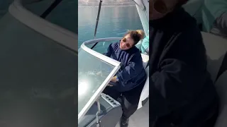 ويزو وهياا ركبااا الانش وهياا بتصور تيك توك 