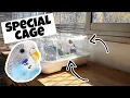 The MOST High-Tec Cage for Your Parrot Vision Cage Review