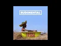 TROUBLE   Sub Focus, Rudimental, Maverick Sabre f Chronixx