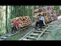 Lagu Amazing Way These Old French Men Slide Tons of Wood Downhill
