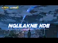 DJ NGLILAKNE KOWE SLOW BASS TERBARU 2022 || REZA FUNDURACTION [ OFFICIAL ] || ( WSB )