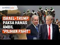 Download Lagu Israel-Trump Ultimatum Hamas: Gaza di Ambang Badai Kehancuran?