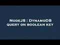NodeJS DynamoDB query on boolean key