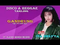 Lagu ITA ERLYTA - DISCO REGGAE TARLING - GANDRUNG ( Official Musik ) HD