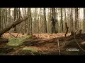 NH Chronicle Hunting for Bigfoot