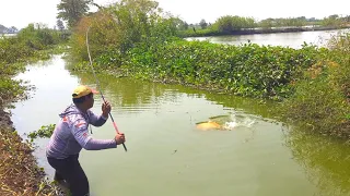ikan 1000 cc mancing diamuk monster sombro liar