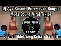 Lagu DJ AYA SUSANTI PEREMPUAN BANYAK MUDA JEDAG JEDUG SOUND VIRAL TIKTOK 2025