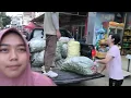 Download Lagu Jual Hasil Panen Plum di Desa Huichang China