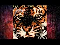 Survivor - Eye Of The Tiger (Remastered Songs Before \u0026 After)