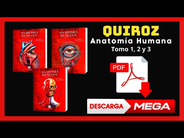 Download MP3 Anatomía de Quiroz  3 Tomos ✅Descargar PDF GRATIS✅