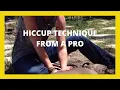 HOW TO QUICKLY STOP HICCUPS IN PUPPY OR ADULT DOG S FAST AND EASY HICCUP TECHNIQUE FROM A PRO