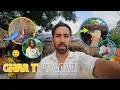 Download Lagu Team me kaam karna h yaa nhi ( day 12 / 100 )