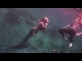Download Lagu jolly sailor bold music video (SIRENS CALL)