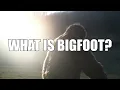 What is Bigfoot teaser