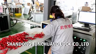 High security sealed laser marking JCBS601
