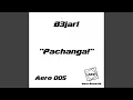 Download Lagu Pachanga! (Original Mix)