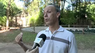 Tratamento de esgoto por alagados é simples, eficiente e ecológico